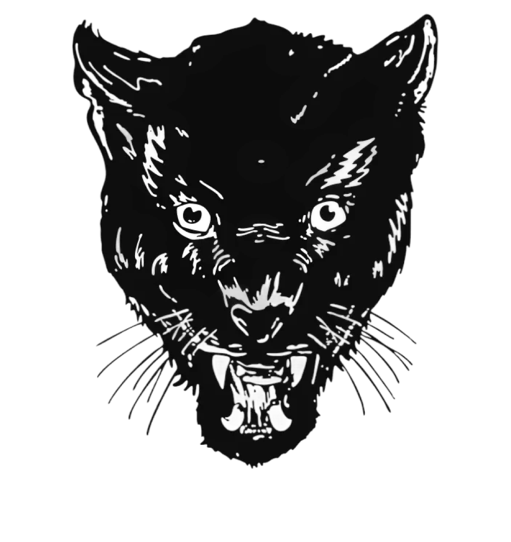 Amayze Athletics logo mark