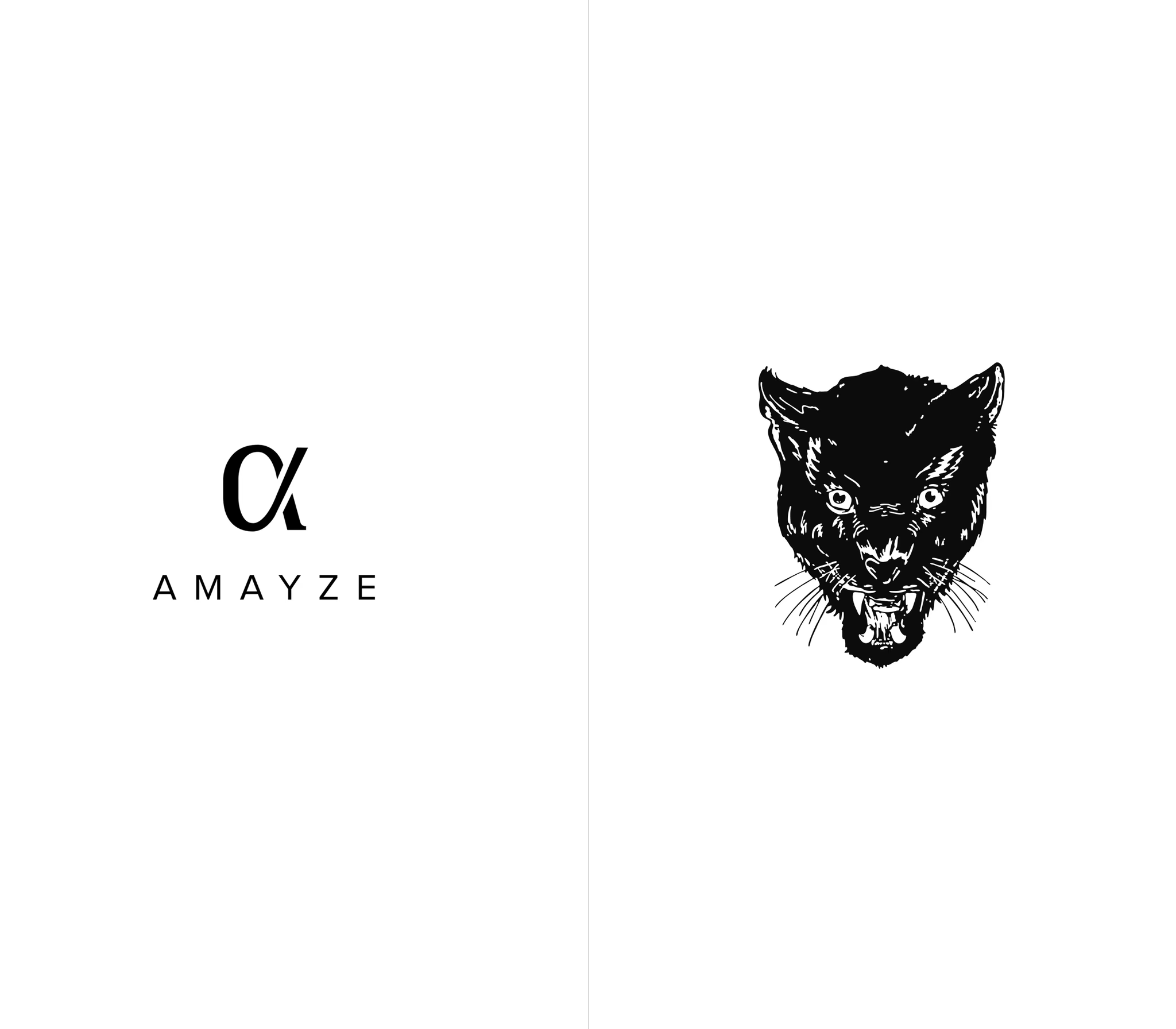 Amayze Athletics brand preview